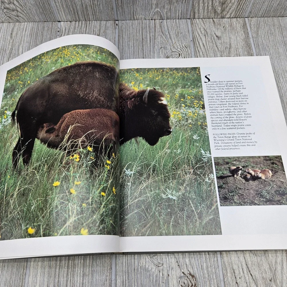 Our Threatened Inheritance National Geographic 1984 Hardcover Ron Fisher‎ Nature